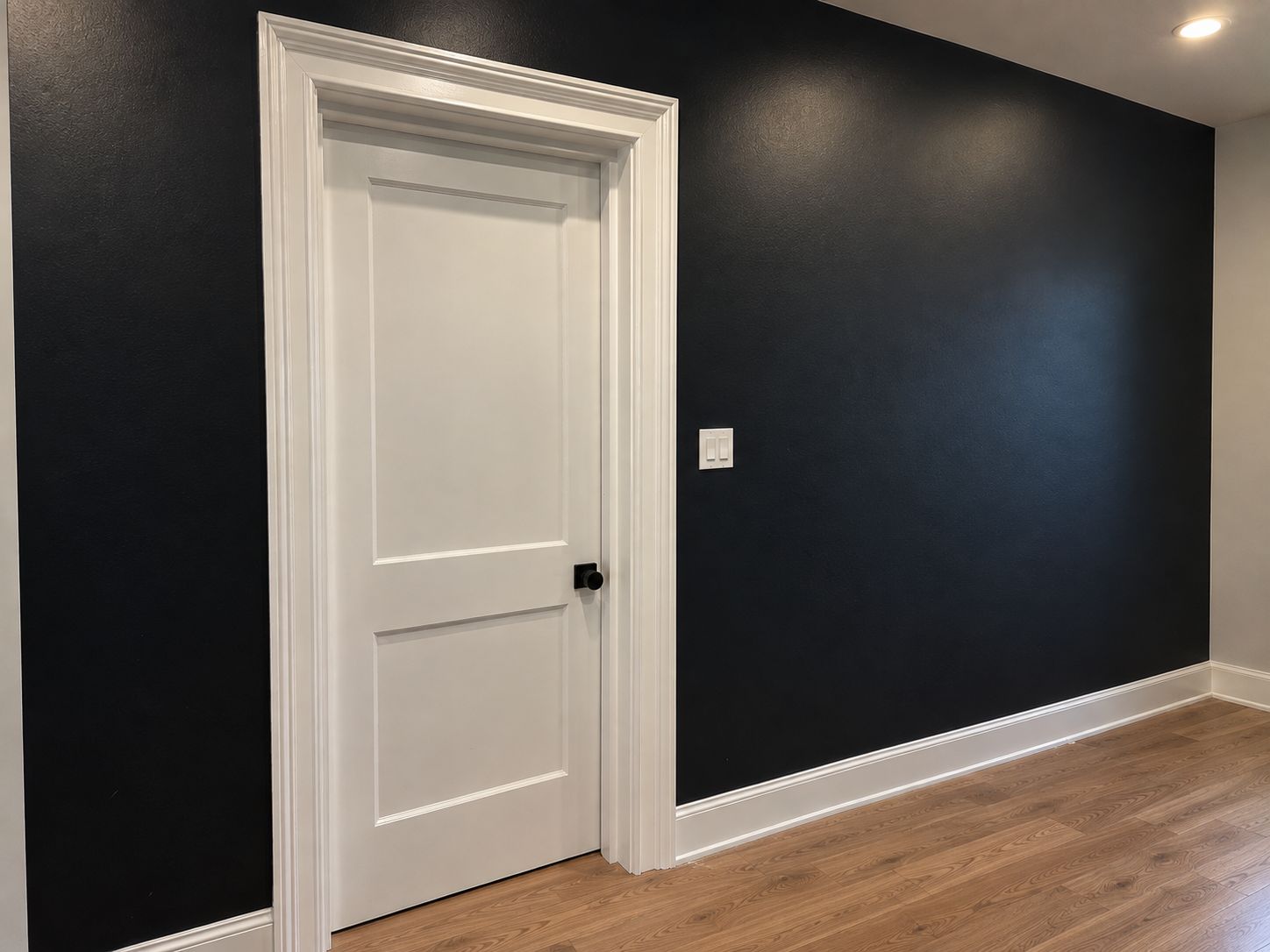Interior door on dark accent wall